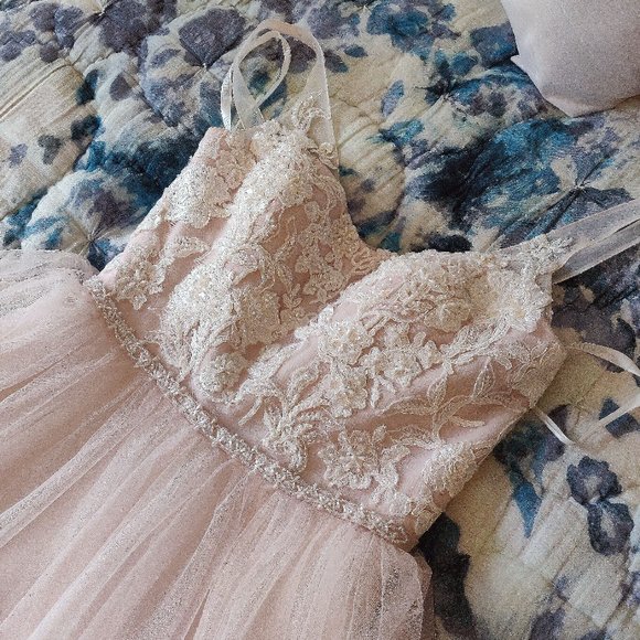 NWOT: Blush / Cashmere Pearl Beaded Lace & Tulle Ballgown with Ribbon Belt - Picture 6 of 12